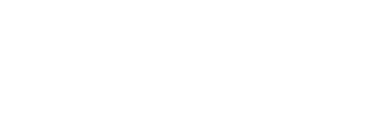 logo-micflip-wfl